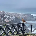 Renovado Hogar Vistas Los Realejos