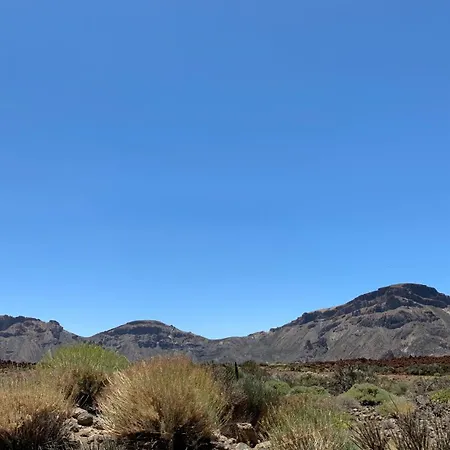 דירה Renovado 