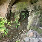 Renovado 