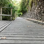 Renovado 