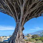 Renovado 