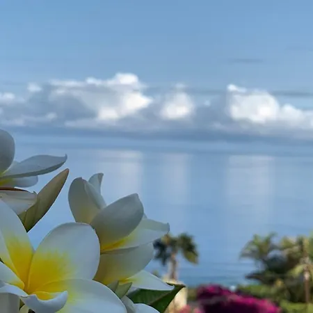 Renovado Hogar Vistas Apartamento